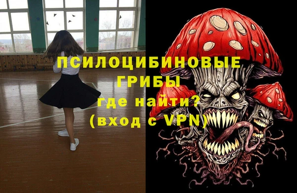 индика Абинск