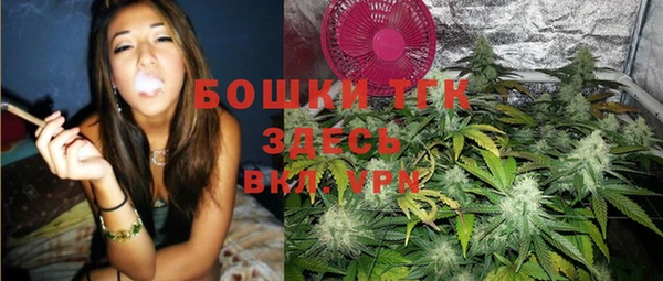 индика Абинск