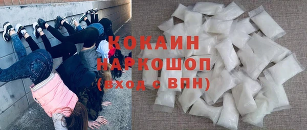 индика Абинск