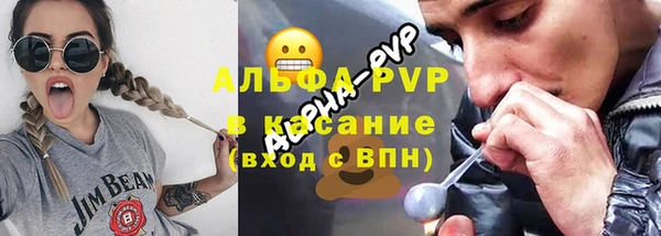 индика Абинск