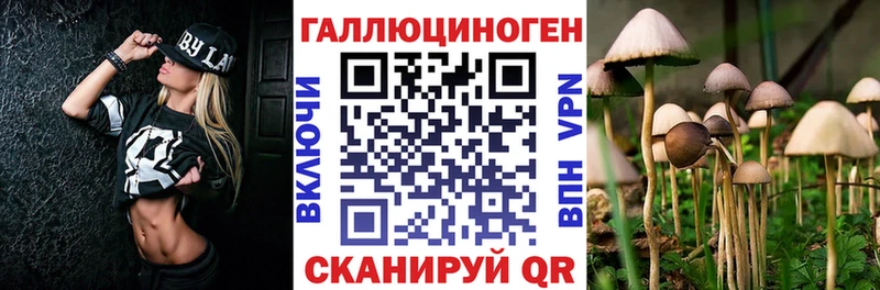 как найти наркотики  Краснозаводск  Галлюциногенные грибы Magic Shrooms 